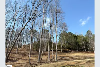 111 River Ridge Drive, Moore, SC 29369 - Photo 41