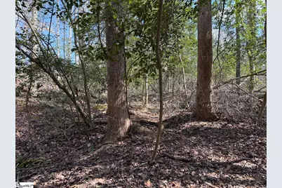 111 River Ridge Drive, Moore, SC 29369 - Photo 47