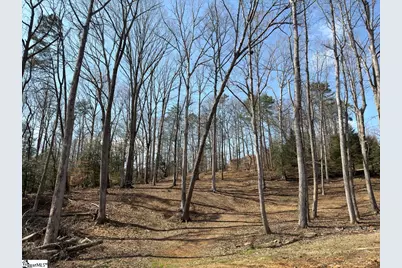 111 River Ridge Drive, Moore, SC 29369 - Photo 43