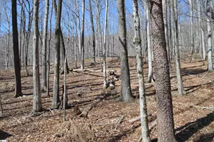 00 Shadow Creek Ln, Columbus, SC 28722 - Photo 1