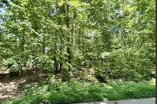 Lot B Adair Pl, Laurens, SC 29360 - Photo 1