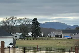 319 Waters Rd, Taylors, SC 29687 - Photo 5