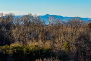 403 Mountain Top Trail, Easley, SC 29640 - Photo 3