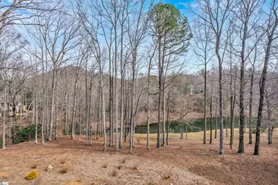 1 Long Shadow Lane, Travelers Rest, SC 29690 - Photo 25
