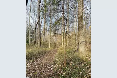 5754 Hwy 20, Donalds, SC 29681 - Photo 33