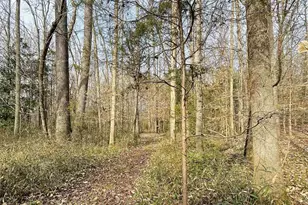 5754 Hwy 20, Donalds, SC 29681 - Photo 33