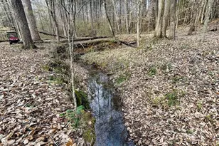 5754 Hwy 20, Donalds, SC 29681 - Photo 31