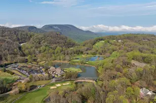 8 Rustic Ct, Landrum, SC 29356 - Photo 47