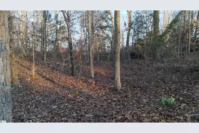 305 Monticello Court, Gray Court, SC 29645 - Photo 15