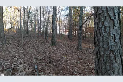 303 Monticello Court, Gray Court, SC 29645 - Photo 9