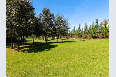 230 Gano Drive, Woodruff, SC 29388 - Photo 31