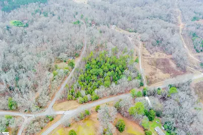 00 Baynes Creek Road, Gray Court, SC 29645 - Photo 3