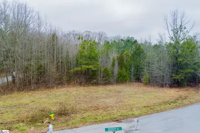 00 Baynes Creek Road, Gray Court, SC 29645 - Photo 1