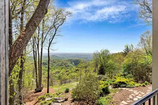 11 Moss Falls Ln, Landrum, SC 29356 - Photo 33