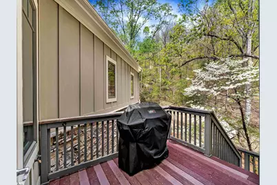 11 Moss Falls Lane, Landrum, SC 29356 - Photo 19