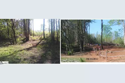 91 Emma Drive, Campobello, SC 29322 - Photo 3