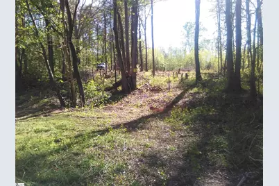 91 Emma Drive, Campobello, SC 29322 - Photo 5