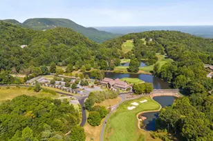 4 Morning Glory Way, Landrum, SC 29356 - Photo 43