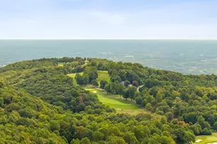 4 Morning Glory Way, Landrum, SC 29356 - Photo 41