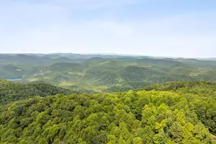 4 Morning Glory Way, Landrum, SC 29356 - Photo 39