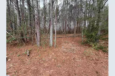 122 Haynie Drive, Belton, SC 29627 - Photo 3