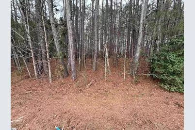 124 Haynie Drive, Belton, SC 29627 - Photo 3