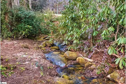 401 Rocky Bottom Road, Sunset, SC 29685 - Photo 25