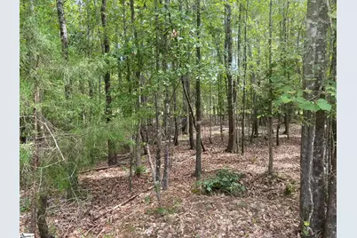 203 W Peninsula Drive, Laurens, SC 29360 - Photo 3