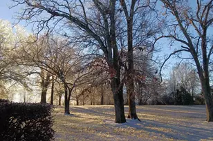 6535 Midway Rd, Williamston, SC 29697 - Photo 47