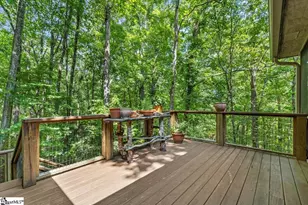 160 Duffs Mountain Rd, Marietta, SC 29661 - Photo 31