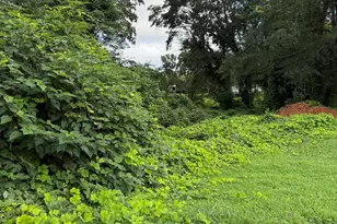 1650 Farley Ave, Spartanburg, SC 29301 - Photo 1