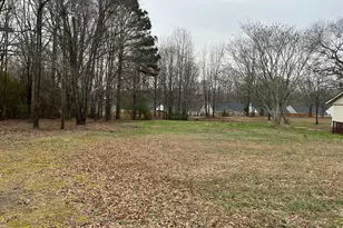 294 Jones Rd, Fountain Inn, SC 29644 - Photo 3