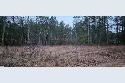 00 Hilltop Drive, Cross Hill, SC 29332 - Photo 3