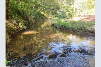00 Little Africa Road, Campobello, SC 29322 - Photo 9