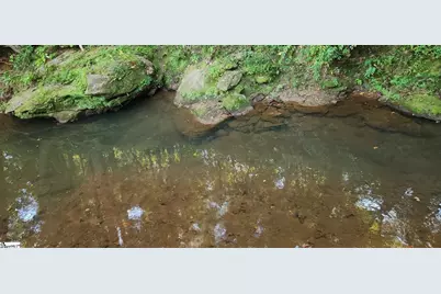 00 Little Africa Road, Campobello, SC 29322 - Photo 15