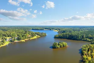 408 W Peninsula Dr, Laurens, SC 29360 - Photo 3