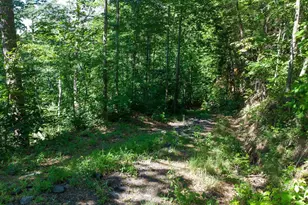 146 Glassy Falls Trail, Travelers Rest, SC 29690 - Photo 7