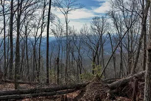 146 Glassy Falls Trail, Travelers Rest, SC 29690 - Photo 13