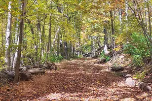 146 Glassy Falls Trail, Travelers Rest, SC 29690 - Photo 45