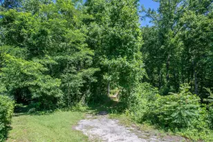 146 Glassy Falls Trail, Travelers Rest, SC 29690 - Photo 11
