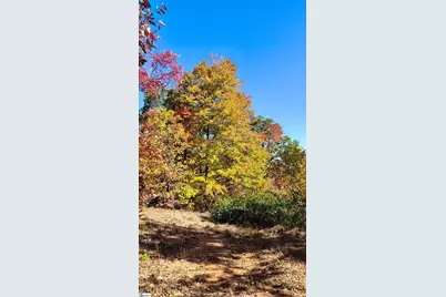 146 Glassy Falls Trail, Travelers Rest, SC 29690 - Photo 49