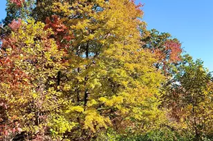 146 Glassy Falls Trail, Travelers Rest, SC 29690 - Photo 49