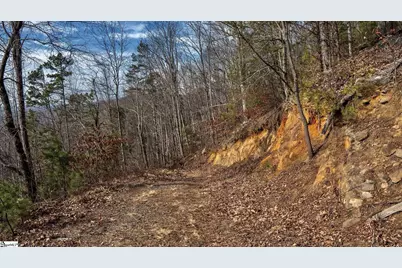 146 Glassy Falls Trail, Travelers Rest, SC 29690 - Photo 23