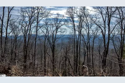 146 Glassy Falls Trail, Travelers Rest, SC 29690 - Photo 19