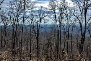 146 Glassy Falls Trail, Travelers Rest, SC 29690 - Photo 19