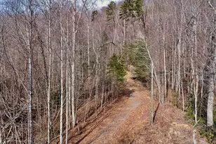 146 Glassy Falls Trail, Travelers Rest, SC 29690 - Photo 19