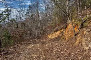 146 Glassy Falls Trail, Travelers Rest, SC 29690 - Photo 17