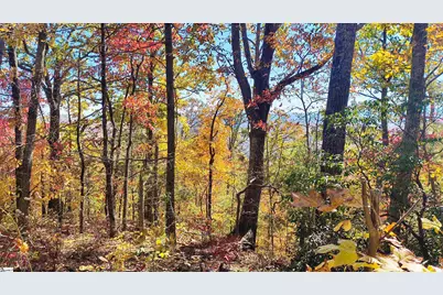 146 Glassy Falls Trail, Travelers Rest, SC 29690 - Photo 43