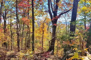 146 Glassy Falls Trail, Travelers Rest, SC 29690 - Photo 43