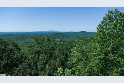 146 Glassy Falls Trail, Travelers Rest, SC 29690 - Photo 3